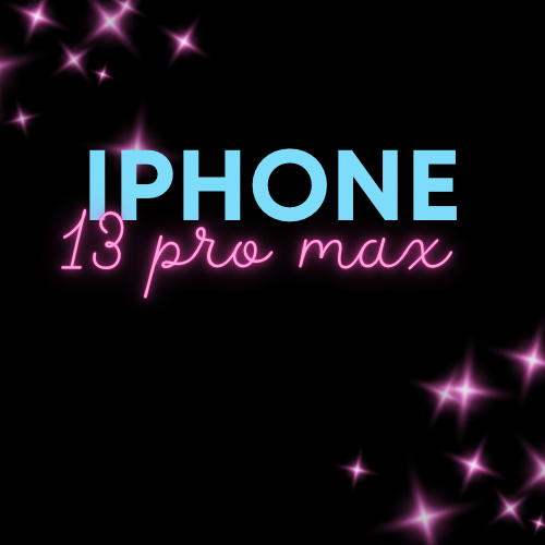iPhone 13 Pro Max case